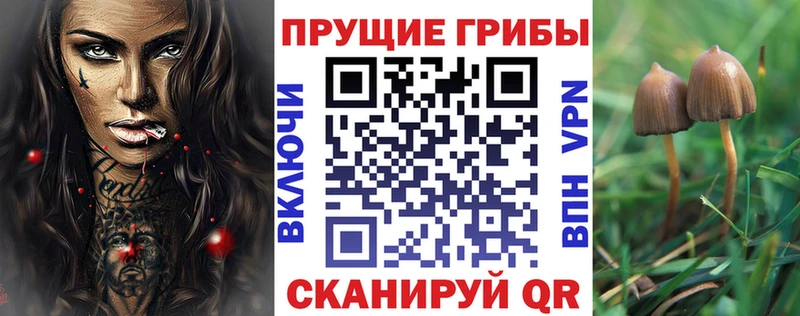 Псилоцибиновые грибы Psilocybine cubensis  Купить закладки  Черноголовка 